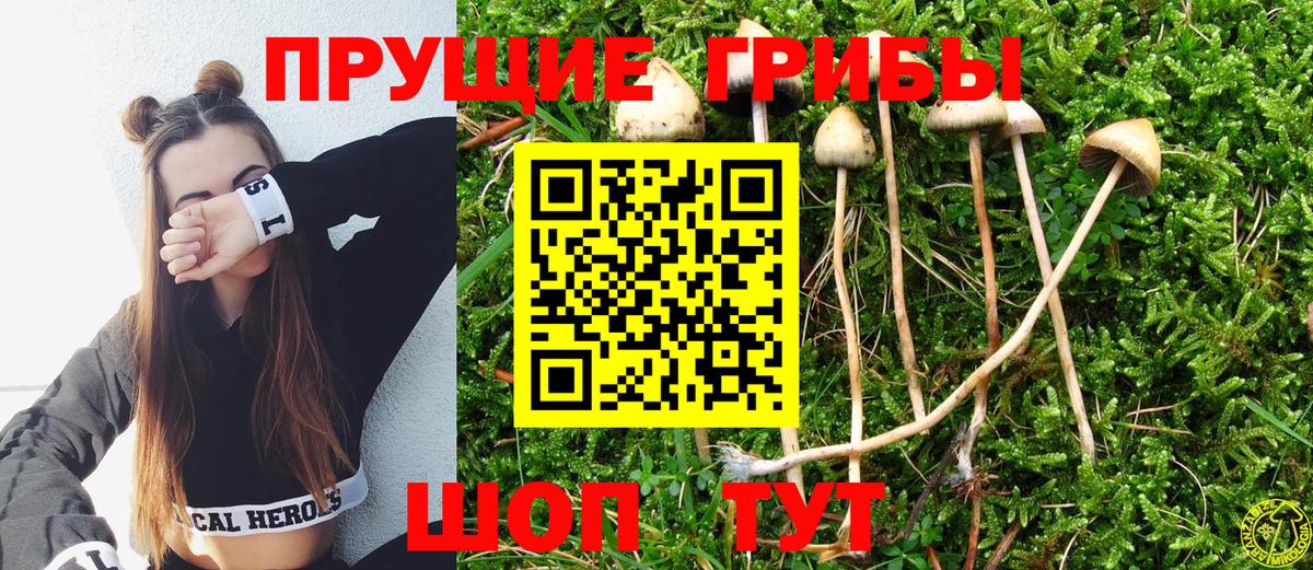 Псилоцибиновые грибы мицелий  Галлюциногенные грибы Cubensis  Вход с VPN  Рязань 