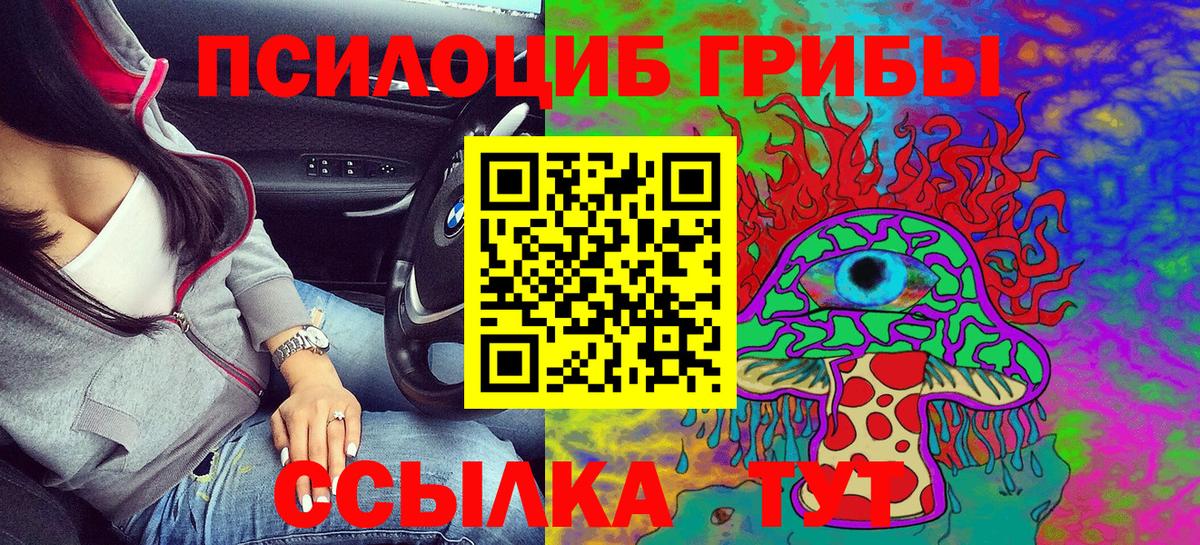 Псилоцибиновые грибы Psilocybe Рязань